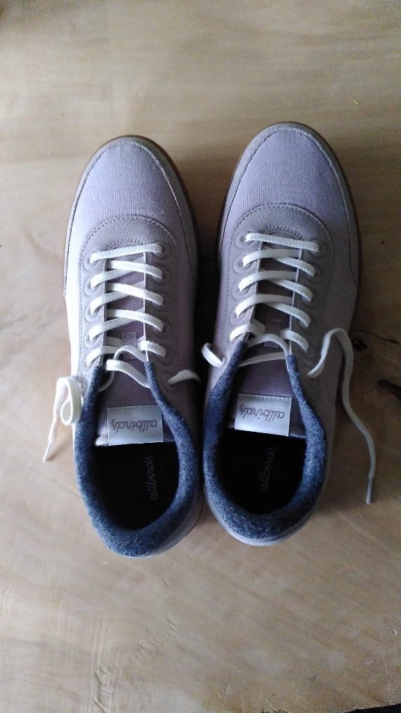 Allbirds schoenen maat 46, Kleding | Heren, Schoenen, Zo goed als nieuw, Sneakers of Gympen, Overige kleuren, Ophalen of Verzenden