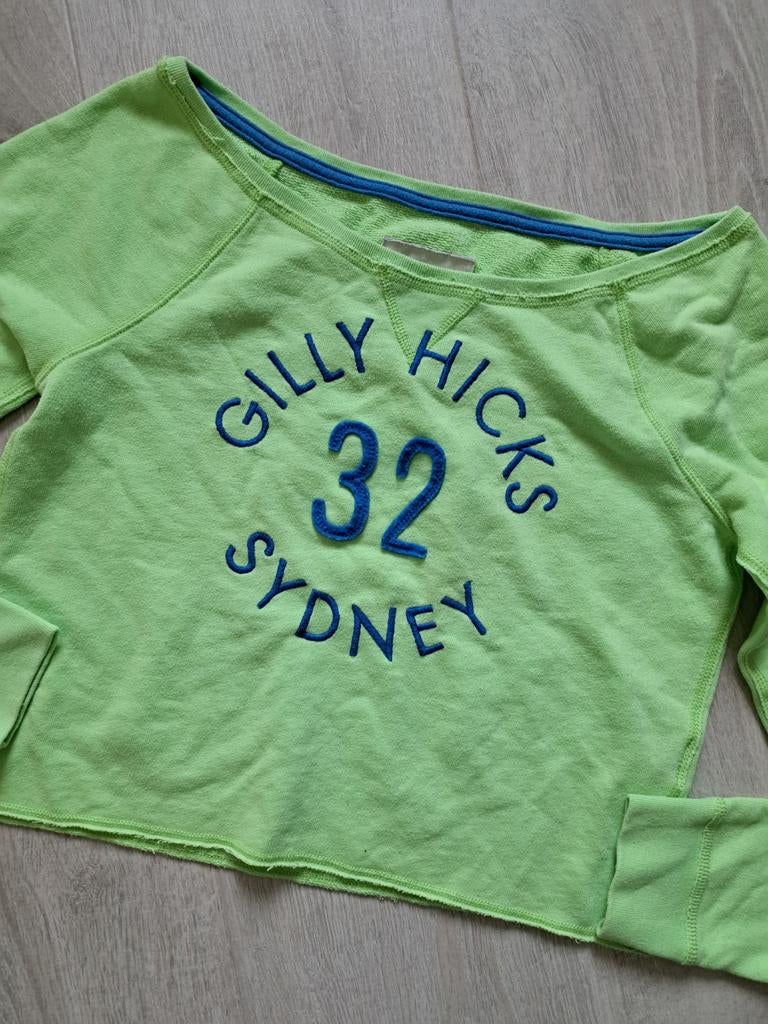 Sweater van Gilly Hicks (Hollister), Gilly Hicks, Overige typen, Ophalen of Verzenden, Zo goed als nieuw