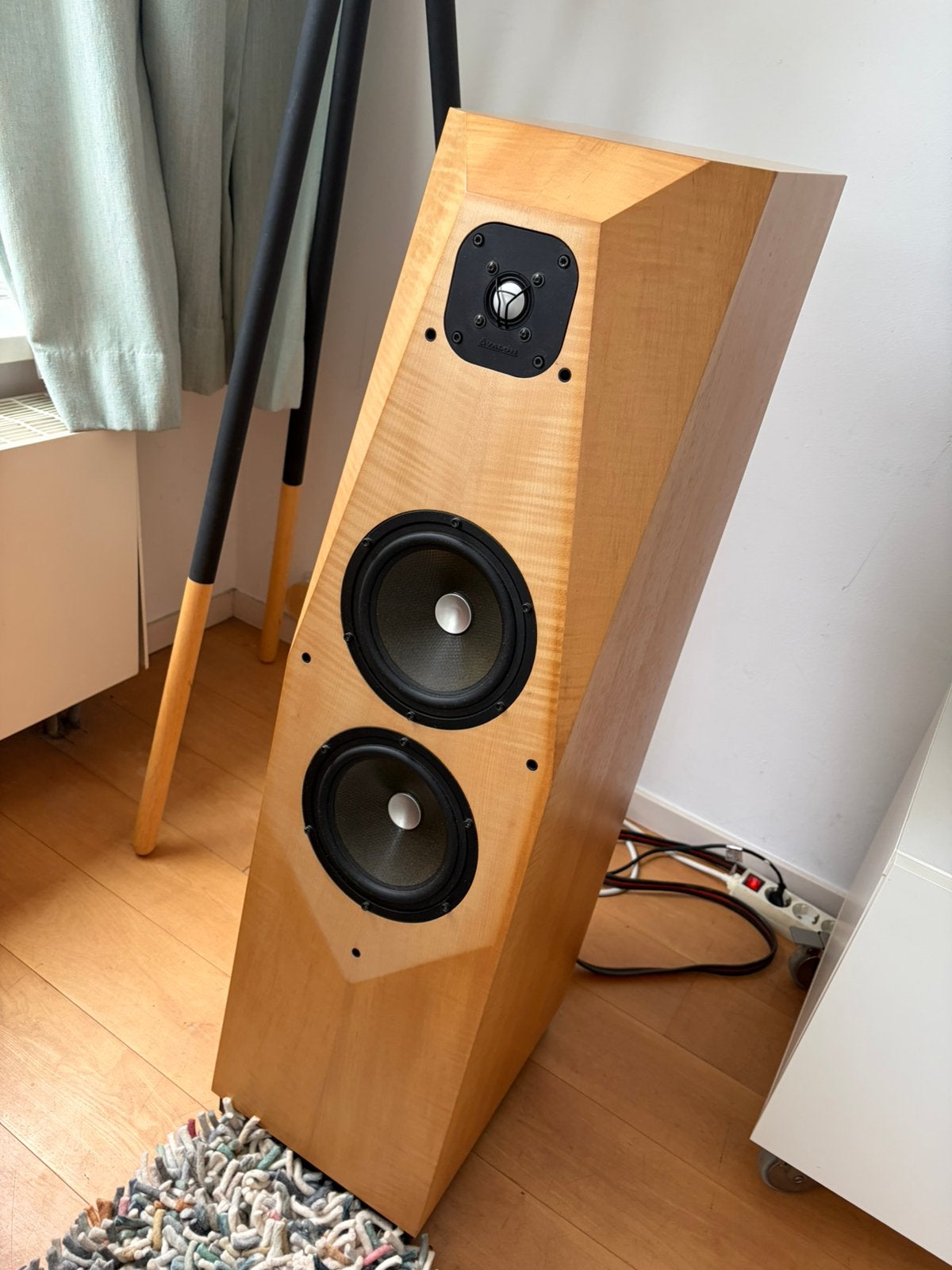 Avelon Ascedent speakers