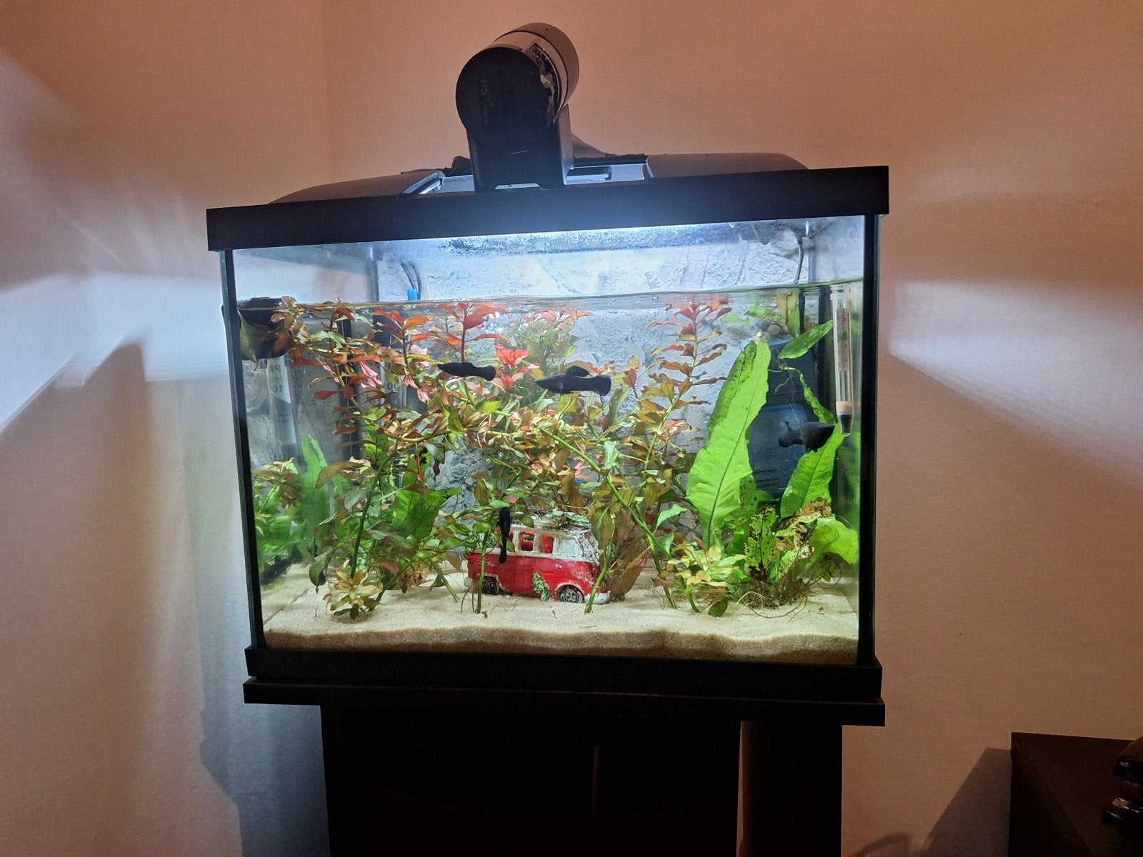 Aquarium Superfish 50l met toebehoren, Dieren en Toebehoren, Vissen | Aquaria en Toebehoren, Ophalen, Zo goed als nieuw, Leeg aquarium
