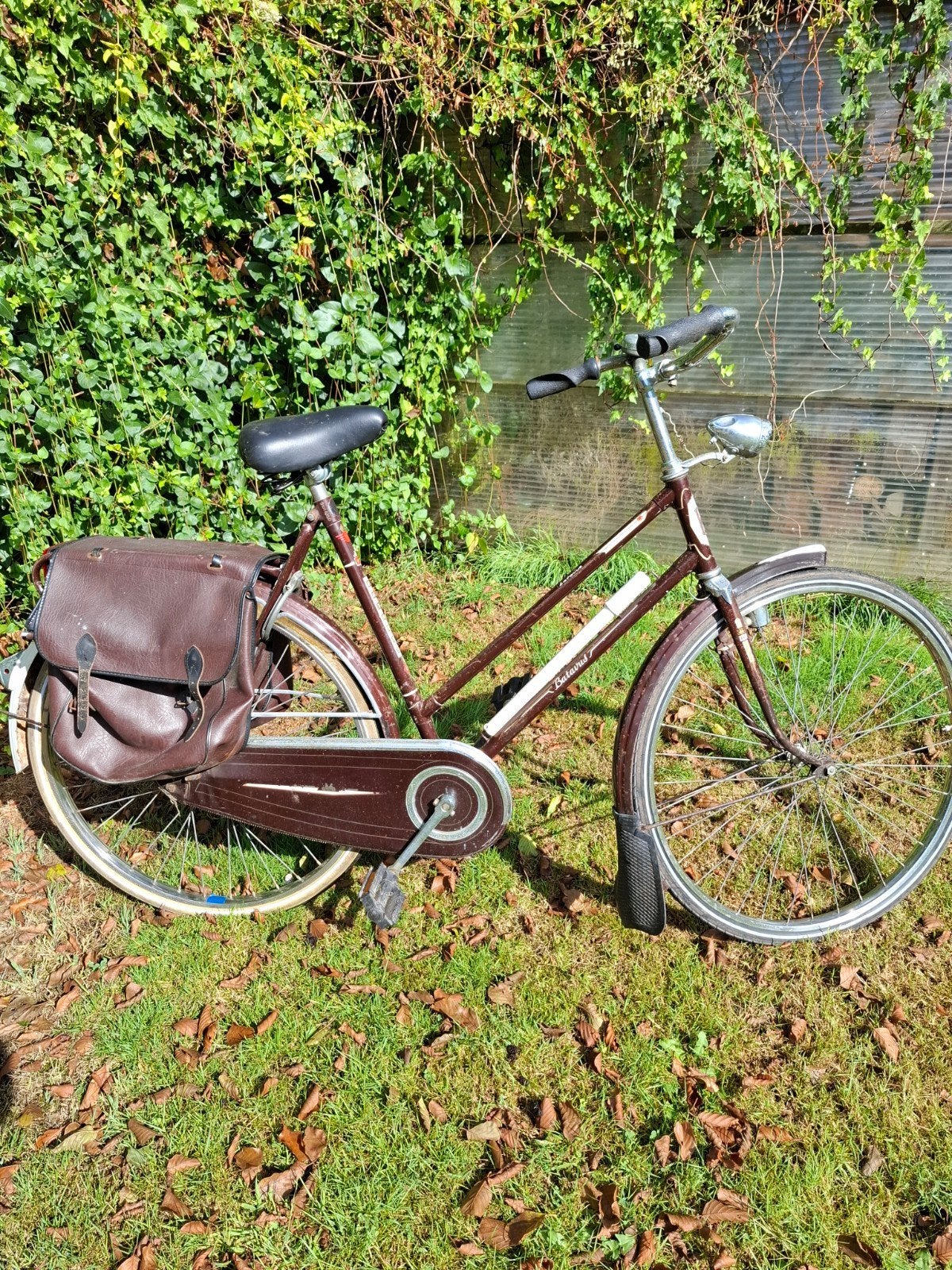 batavus damesfiets, Ophalen, Terugtraprem, Jaren '60 of nieuwer, Batavus