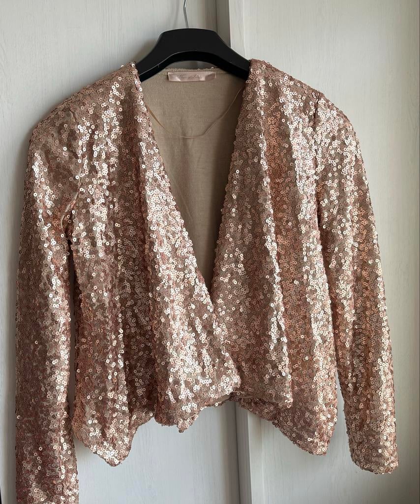 Sprankelend Jasje met Pailletten - House of Luxury, Overige kleuren, Ophalen of Verzenden, Jasje, Maat 34 (XS) of kleiner