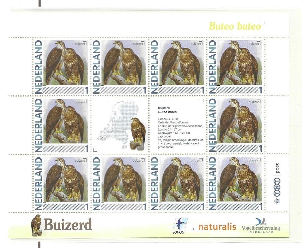 Vel persoonlijke zegels, vogels Buizerd postfris, Ophalen of Verzenden, Postfris