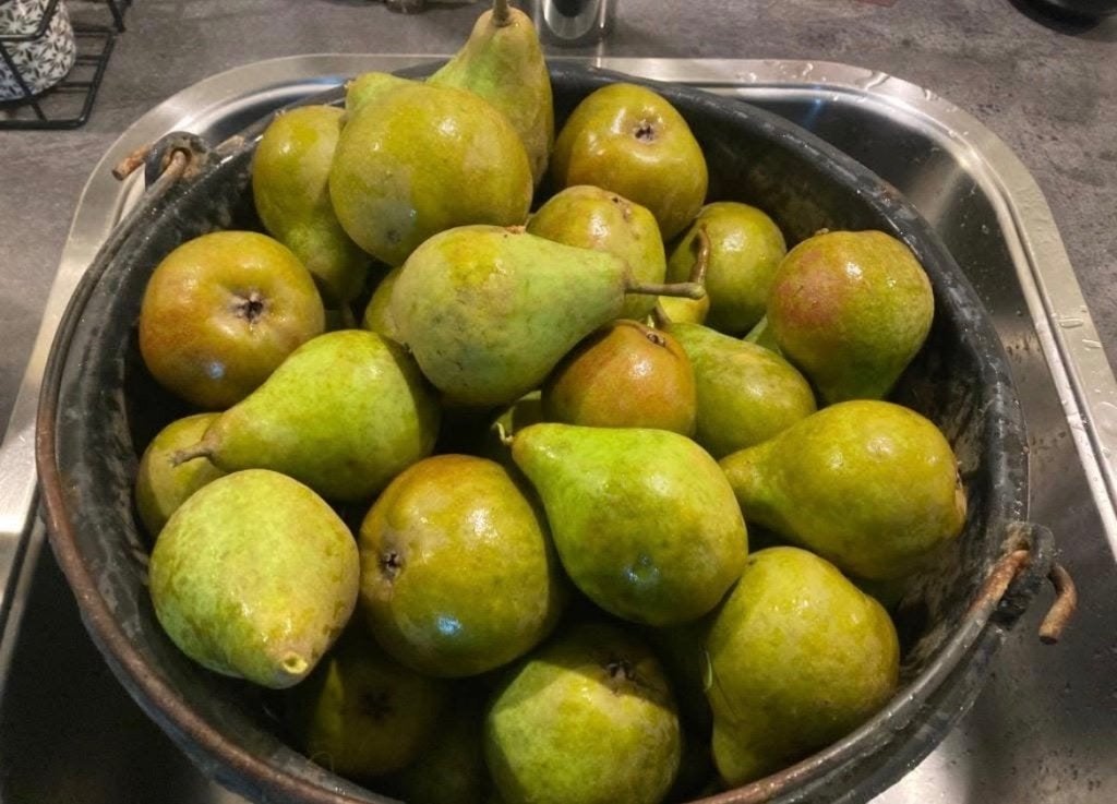Biologische Gieser Wildeman peren., Ophalen