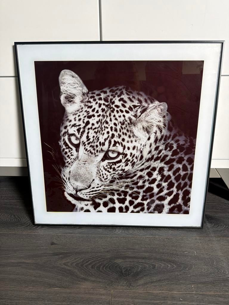 Print van een luipaard, zwart-wit, Huis en Inrichting, Ophalen, Gebruikt, Minder dan 50 cm