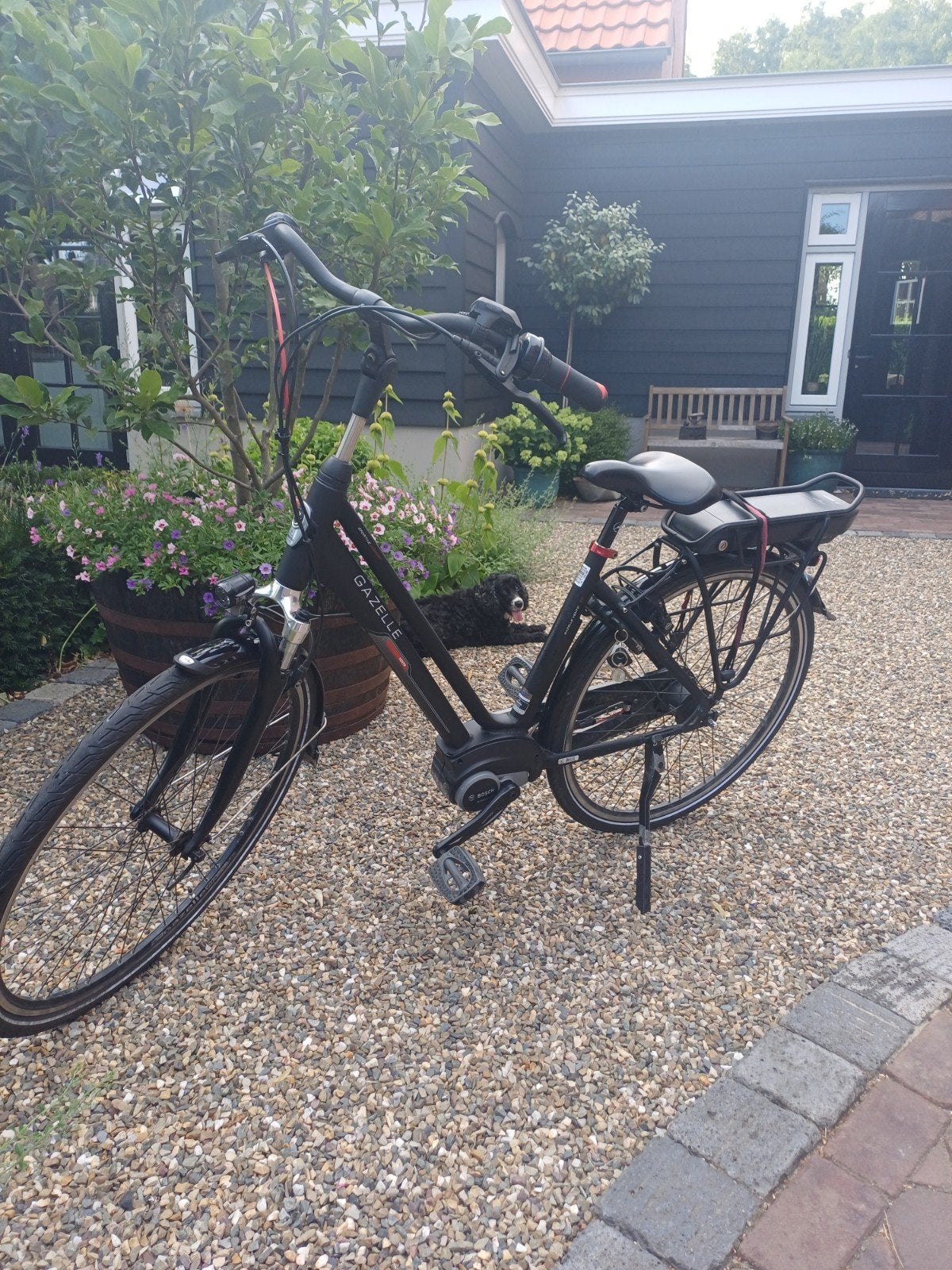 E bike gazelle Vento c7 damesfiets, Fietsen en Brommers, Ophalen, Gebruikt, Velgrem, 47 tot 50 cm