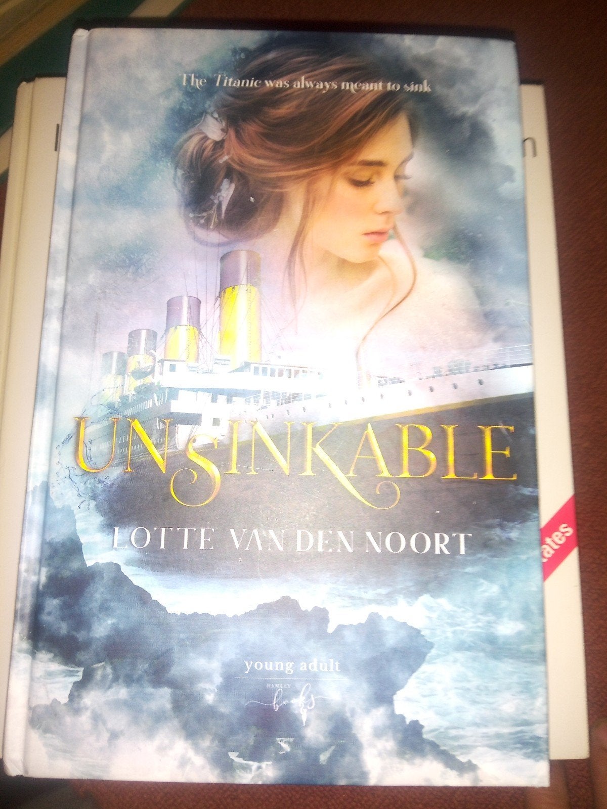 Unsinkable - Lotte van den Noort (Young Adult), Verzenden, Zo goed als nieuw, Lotte van den Noort, Fictie