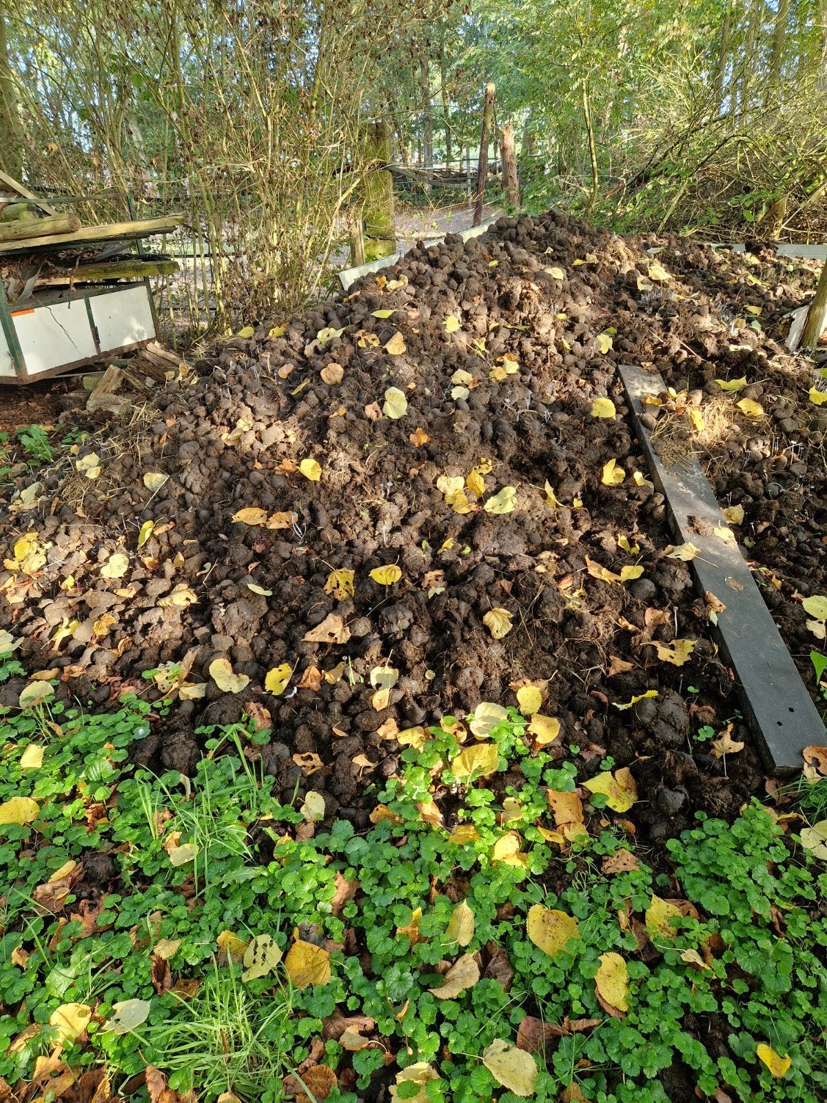 paardenmest moestuin, Ophalen of Verzenden