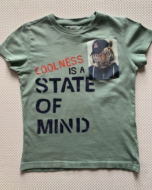 T shirt van Hema , maat 110 / 116 zgan (N498), Kinderen en Baby's, Kinderkleding | Maat 116, Ophalen of Verzenden, Zo goed als nieuw