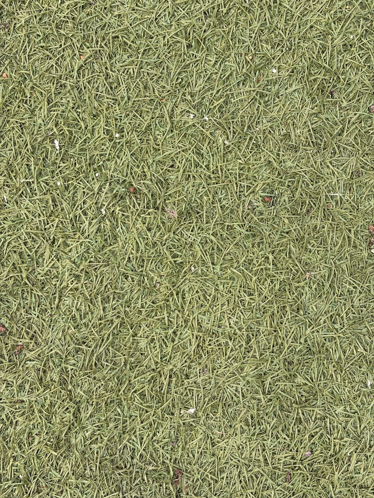 Gebruikt kunstgras voor diverse toepassingen, Ophalen, Gebruikt, 20 m² of meer, Kunstgras