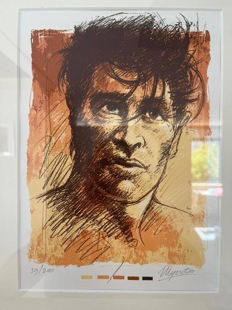 Zeefdruk met gezicht van Herman Brood, Antiek en Kunst, Kunst | Schilderijen | Modern, Ophalen
