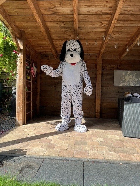 mascotte kostuum te huur voor slechts 15 20 25 30 euro, Ophalen of Verzenden, Zo goed als nieuw, Overige