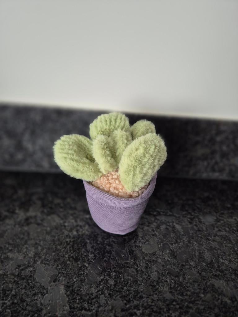 Take me Home - Knuffel Plant in Pot, Ophalen of Verzenden, Overige typen