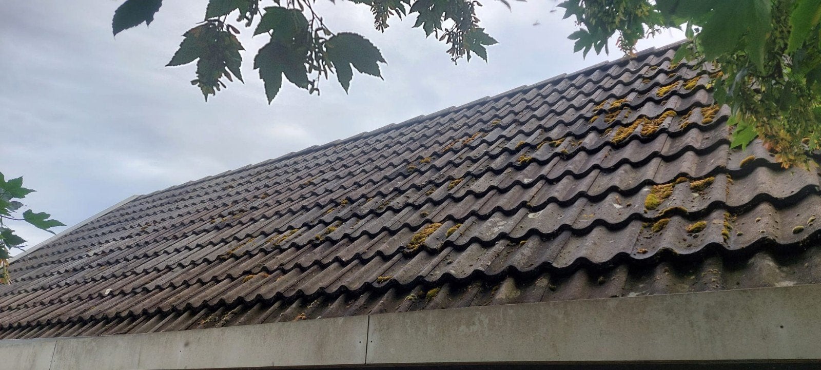 Gratis: ca 700 sneldek dakpannen, Ophalen, Gebruikt, 15 m² of meer, Dakpannen