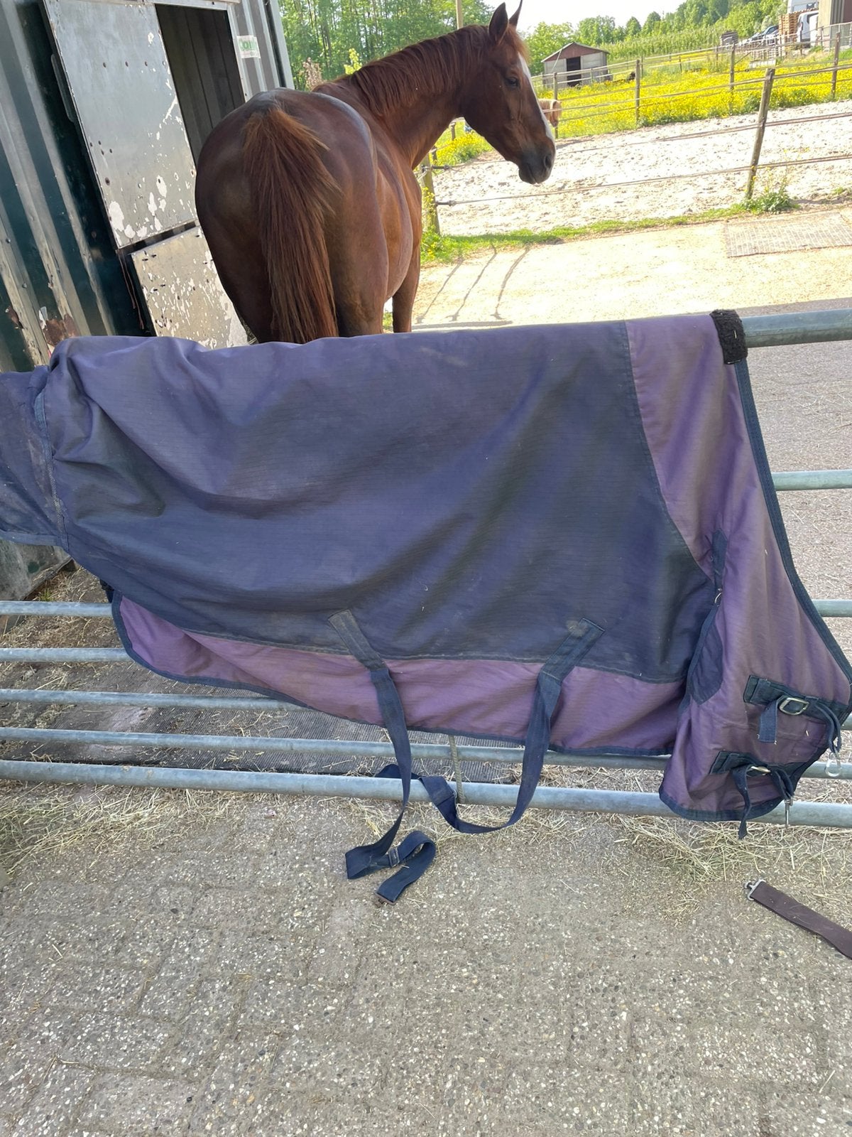 Twee Winterdekens Paardendek - gratis, Dieren en Toebehoren, Ophalen, Gebruikt, Overige merken, Overige maten