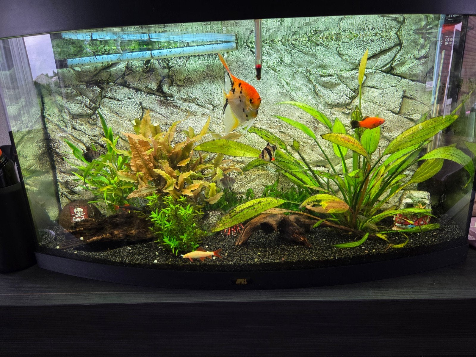 Juwel aquarium 180 liter, Dieren en Toebehoren, Ophalen
