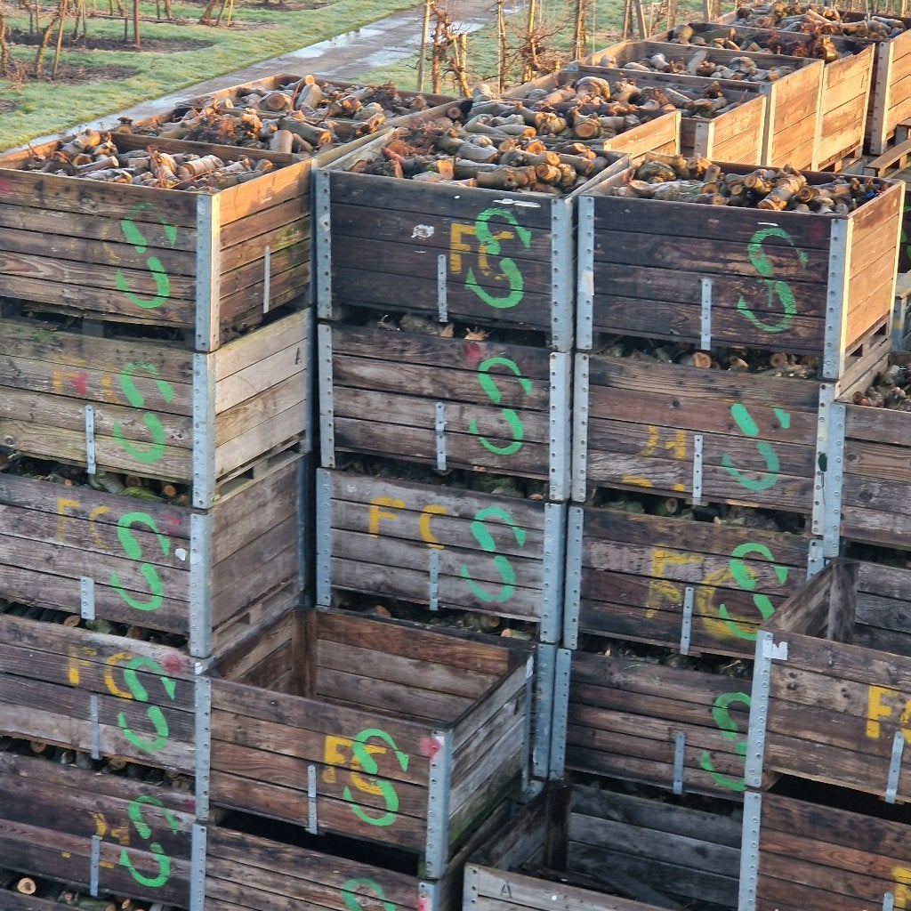 Te koop vers gezaagd appelhout!, Minder dan 3 m³, Ophalen of Verzenden, Stammen