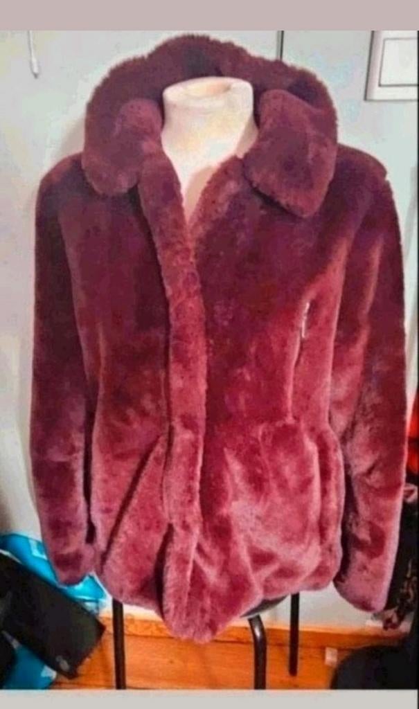 Didi paars jas, Kleding | Dames, Paars, Maat 42/44 (L), Didi, Ophalen of Verzenden