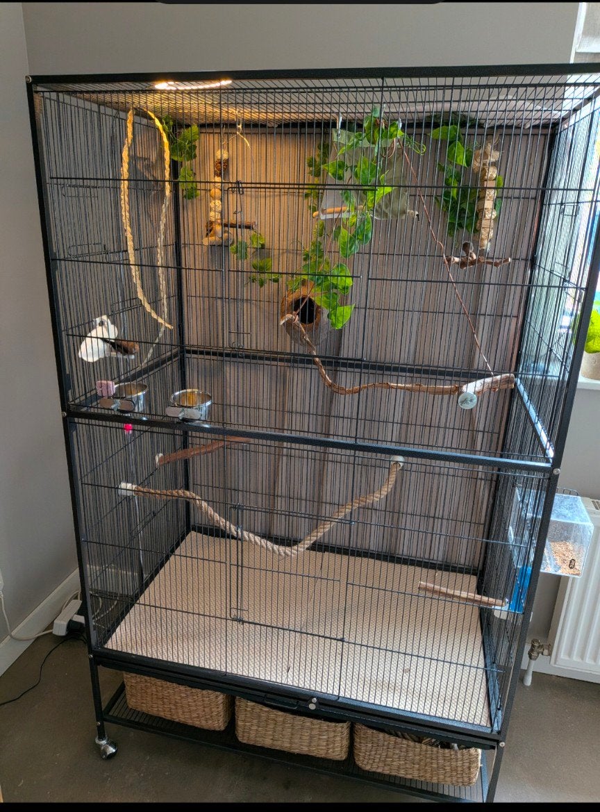Zgan voliere TIAKI Grand Espace

L 90 x B 58, Dieren en Toebehoren, Ophalen, Metaal, Vogelkooi