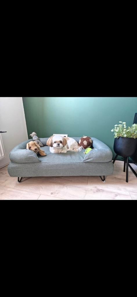 Omlet hondensofa groen voor kleine tot middelgrote hond, Ophalen, Zo goed als nieuw