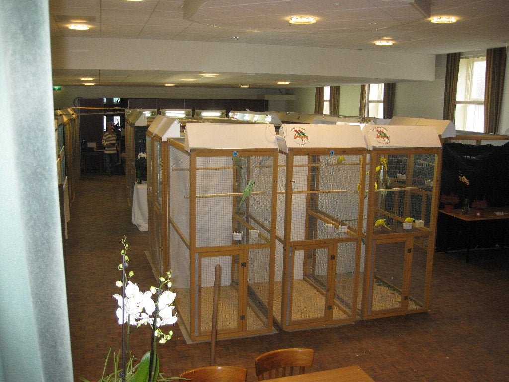 tentoonstelling kooien, Ophalen, Gebruikt, Hout, Vogelkooi