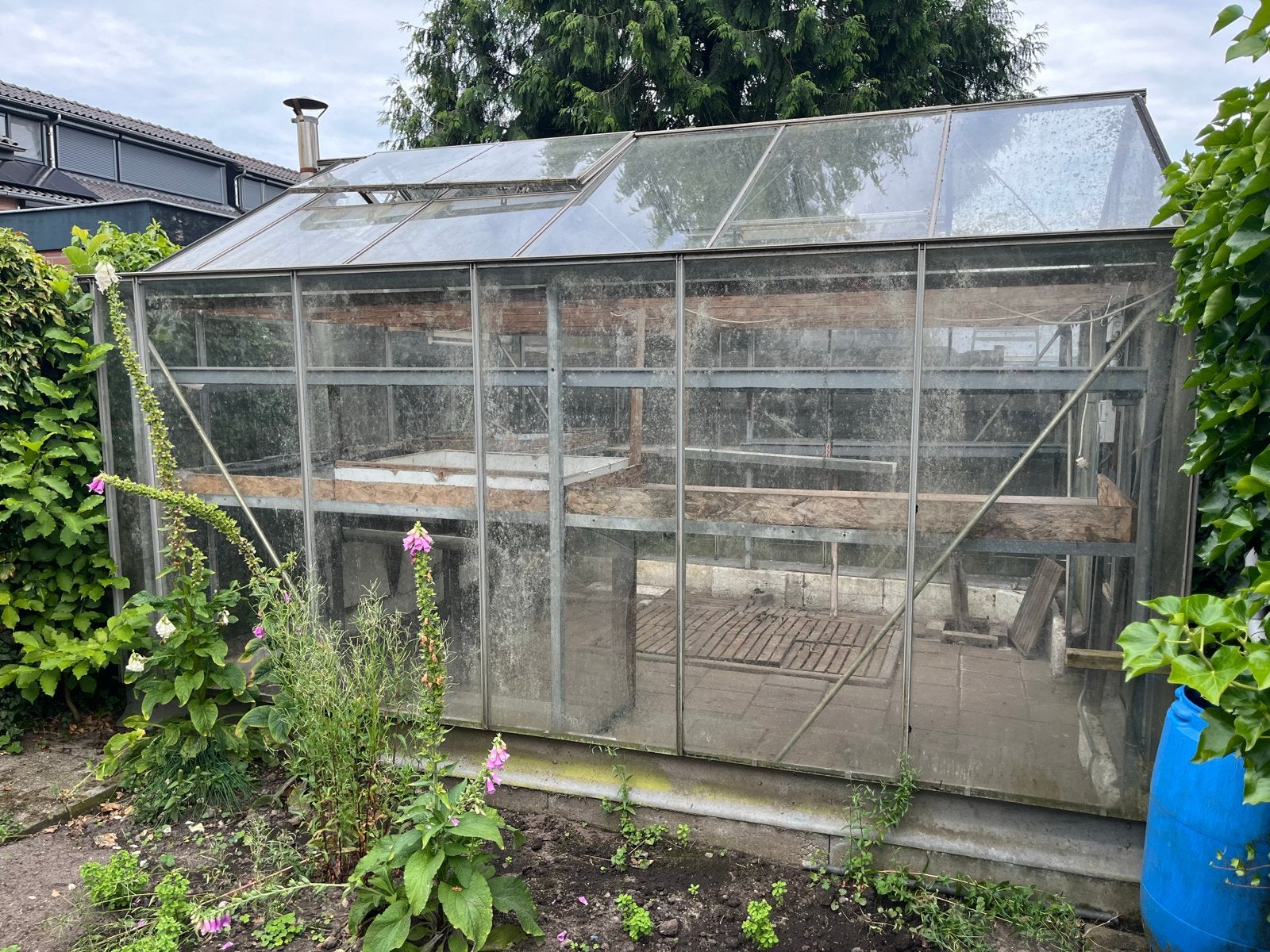 Ruime Glazen Kweekkas - Ideaal voor Tuinliefhebbers, Ophalen, Gebruikt, Kweekkas, Glas