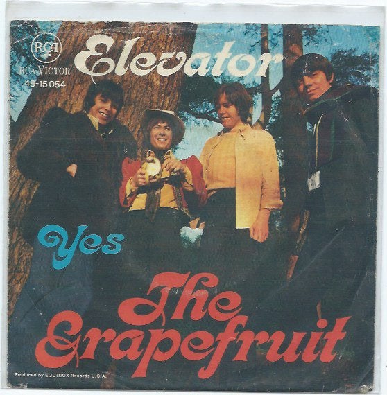 The Grapefruit- Elevator, Verzenden, 7 inch, Zo goed als nieuw, Beschermende buitenhoes