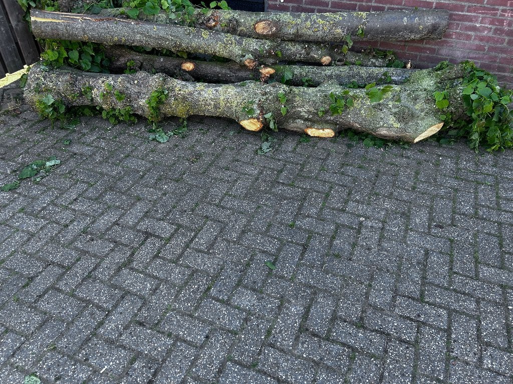 Haardhout kachelhout  hout, Tuin en Terras, Haardhout, 6 m³ of meer, Ophalen, Stammen