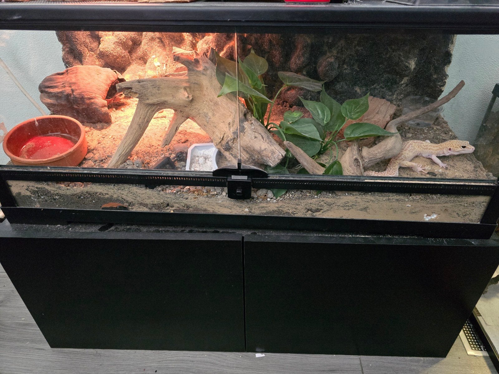 terrarium 74x30x30 + kast, Ophalen