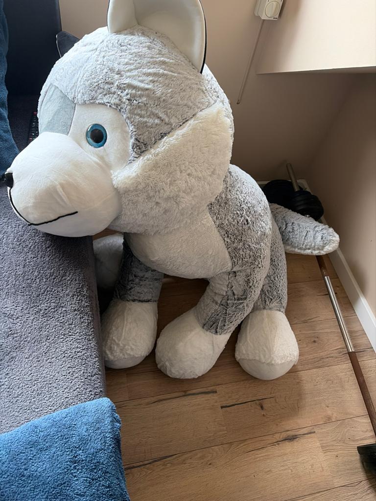 Grote knuffelhond Husky in goede staat, Ophalen, Grijs, Hond, Zo goed als nieuw