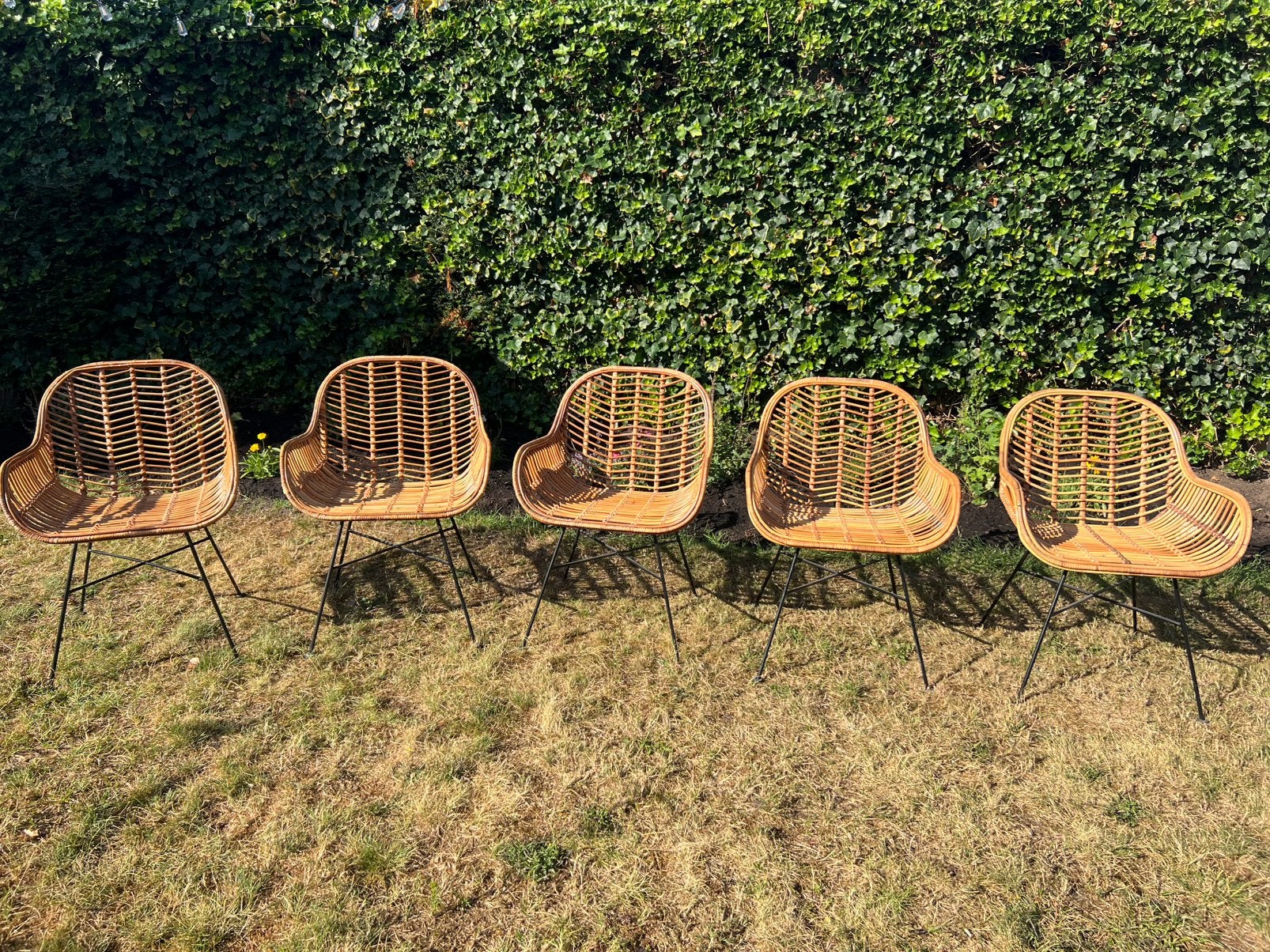5 rotan kuipstoelen, Huis en Inrichting, Stoelen, Ophalen, Zo goed als nieuw, Bruin, Twee