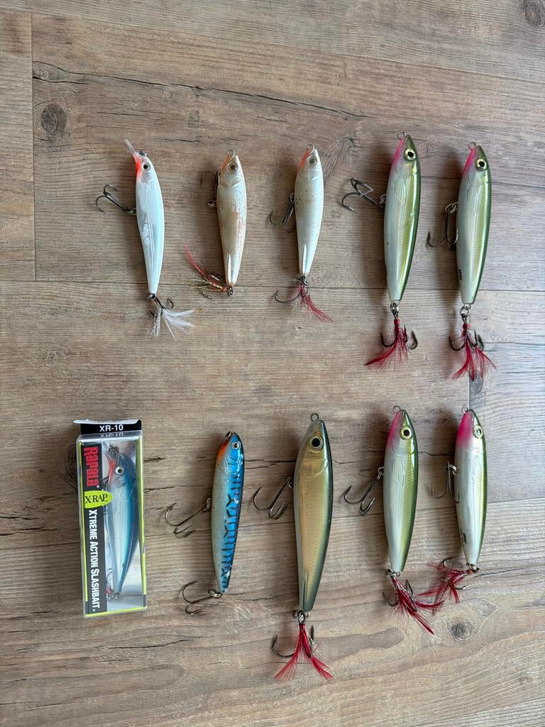 10 Zeebaars pluggen, Rapala X Rap Walk, Ophalen of Verzenden, Zo goed als nieuw, Kunstaas