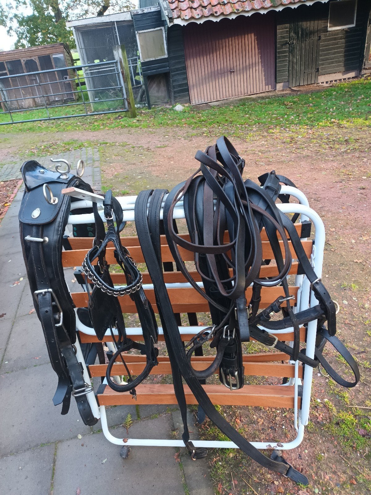 Te koop, Dieren en Toebehoren, Ophalen