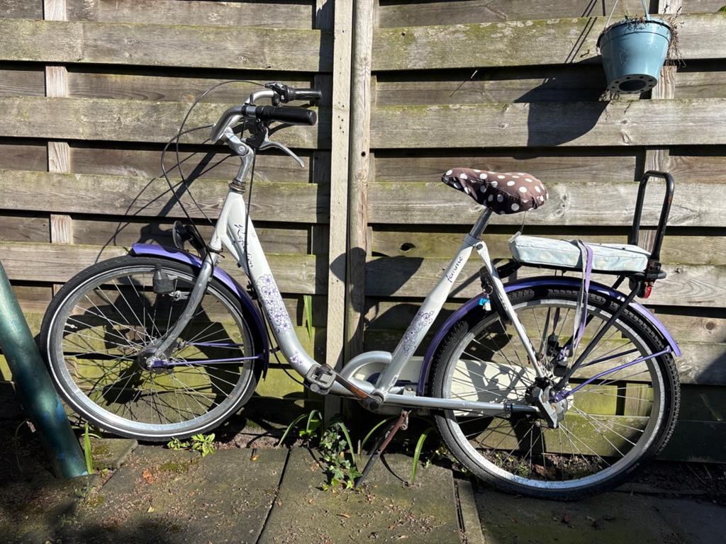 Moederfiets met lage instap - opknapper, Terugtraprem, 0 zitjes, Ophalen, Overige merken