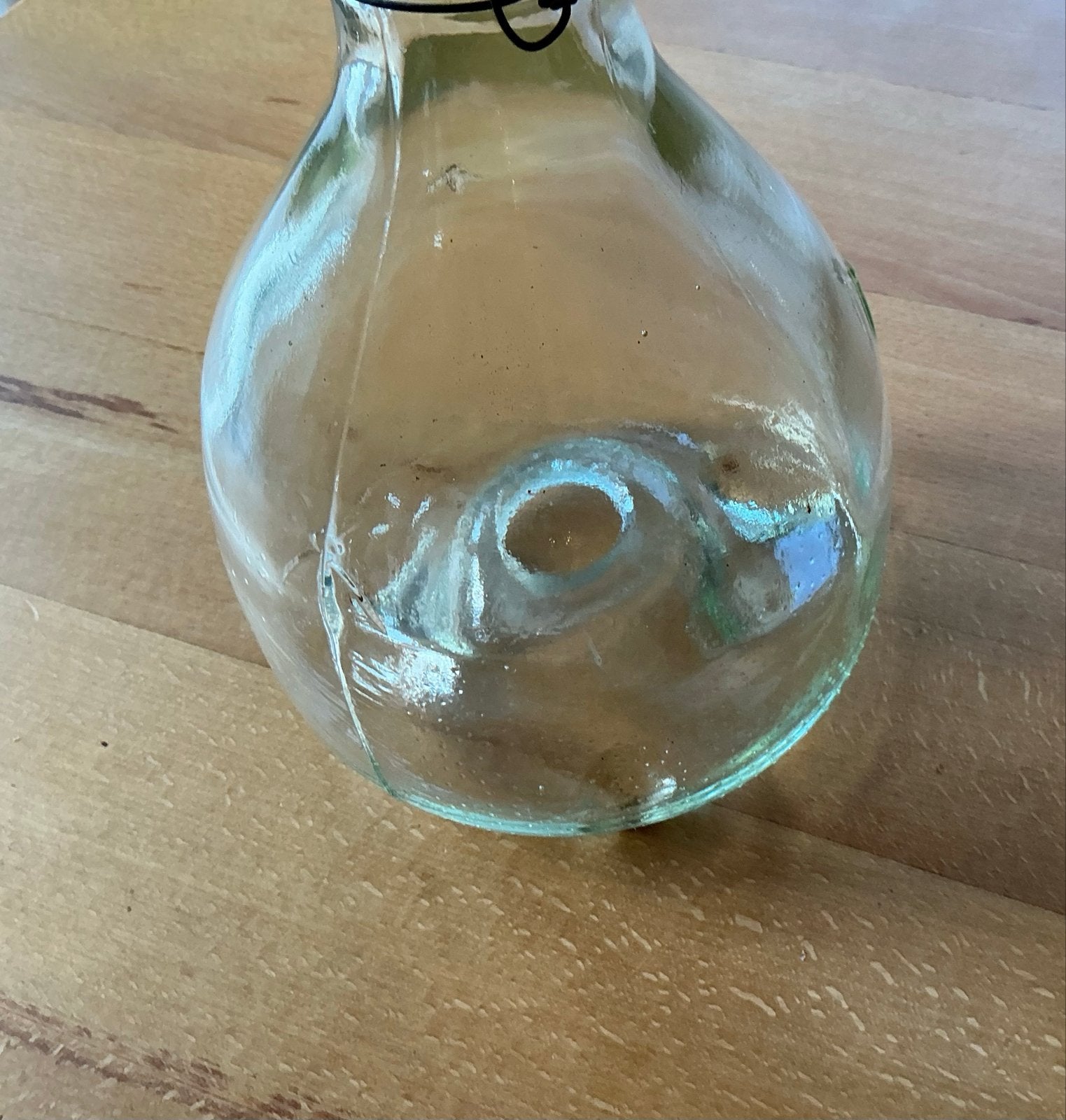 Glazen vliegen/wespen vanger met metalen hanger, Ophalen, Nieuw