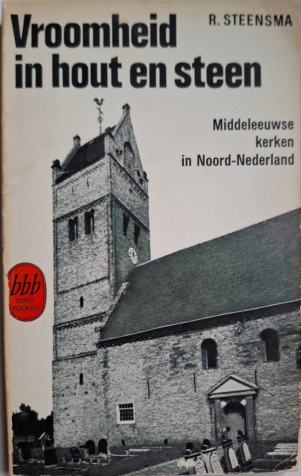 Regnerus Steensma - Vroomheid in hout en steen, Ophalen of Verzenden, Regnerus Steensma, 20e eeuw of later, Gelezen