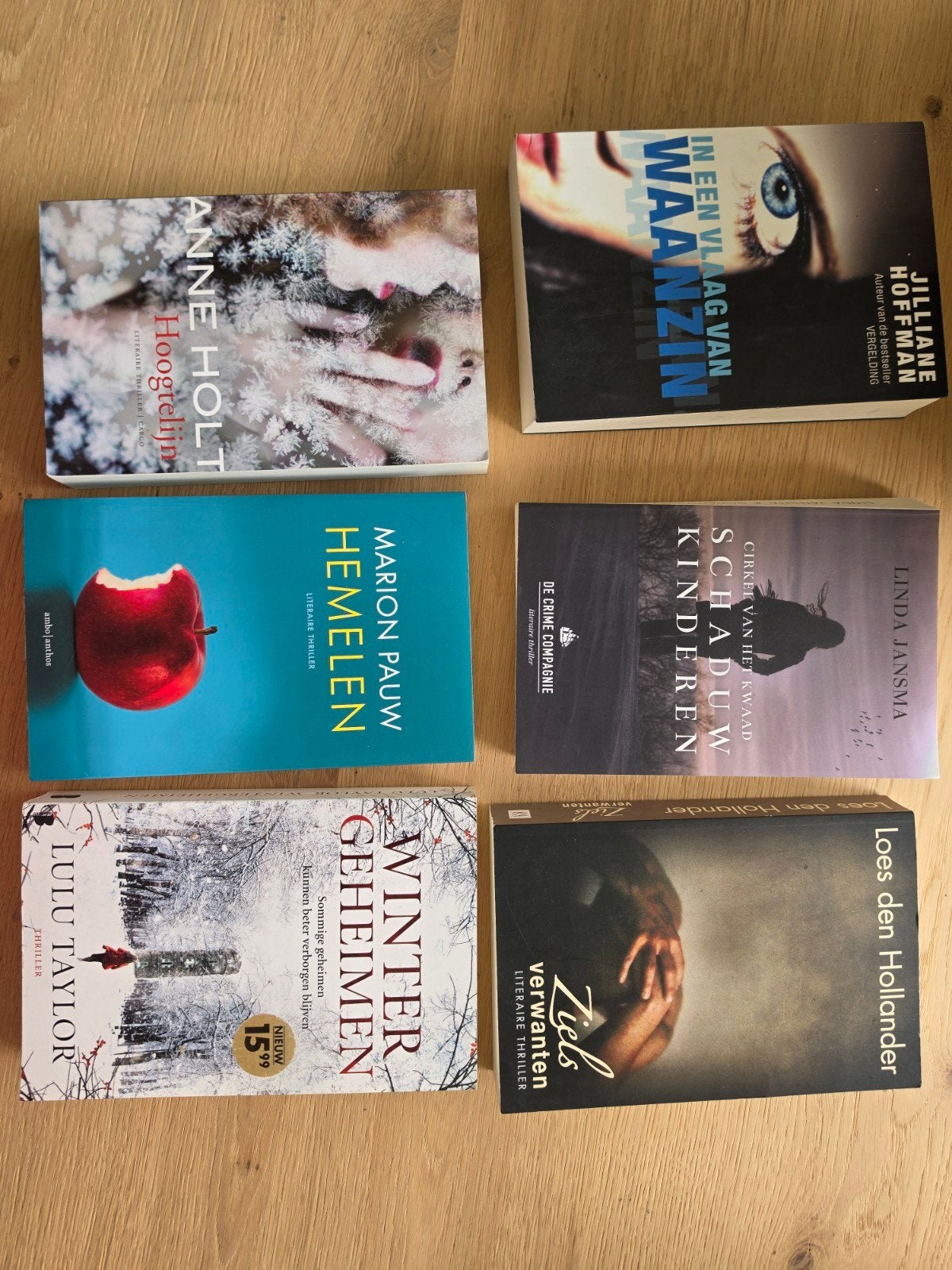 6 thrillers: Anne Holt, Marion Pauw, Loes den Hollander teab, Boeken, Ophalen of Verzenden, Gelezen, Diverse auteurs, Nederland