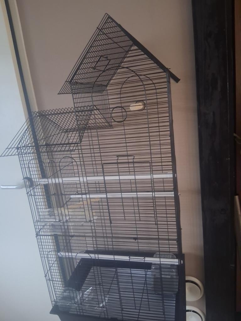 Vogelkooi., Dieren en Toebehoren, Ophalen of Verzenden, Metaal, Vogelkooi