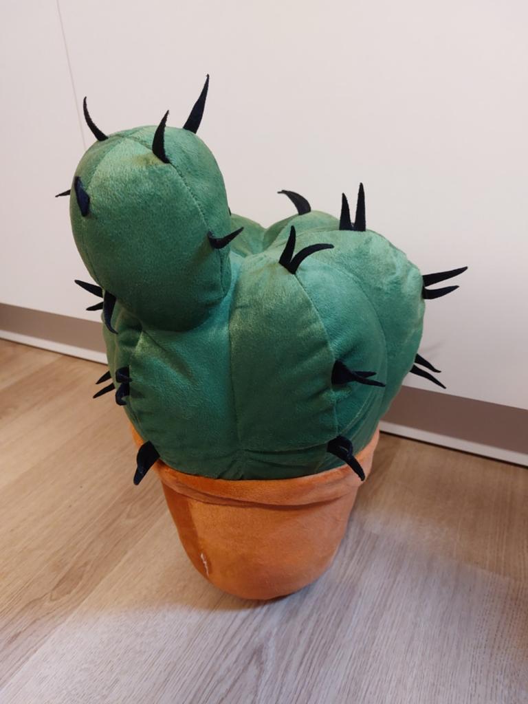 IKEA cactus knuffel of kussen 40 cm, Ophalen of Verzenden