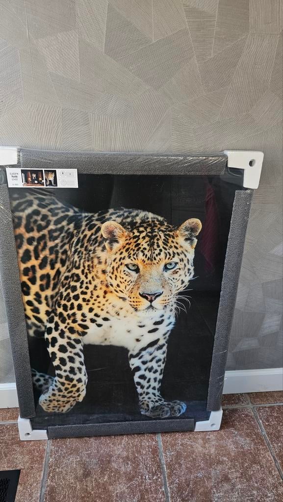 Glas schilderij met luipaard, 70x100 cm, Huis en Inrichting, Ophalen
