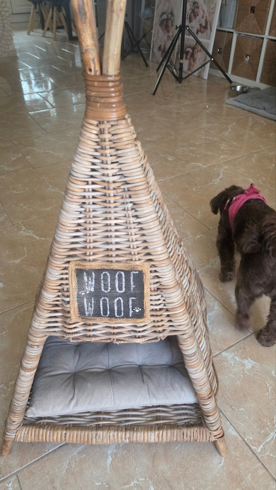 Hond mandje, Ophalen, Riet