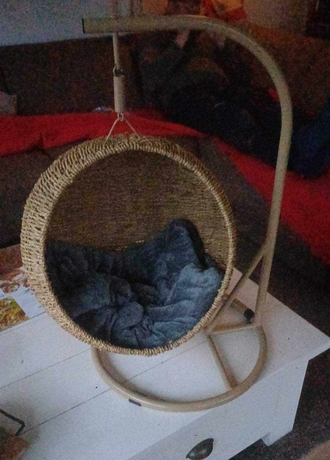 Luxe hangmand kat, Ophalen of Verzenden, Nieuw