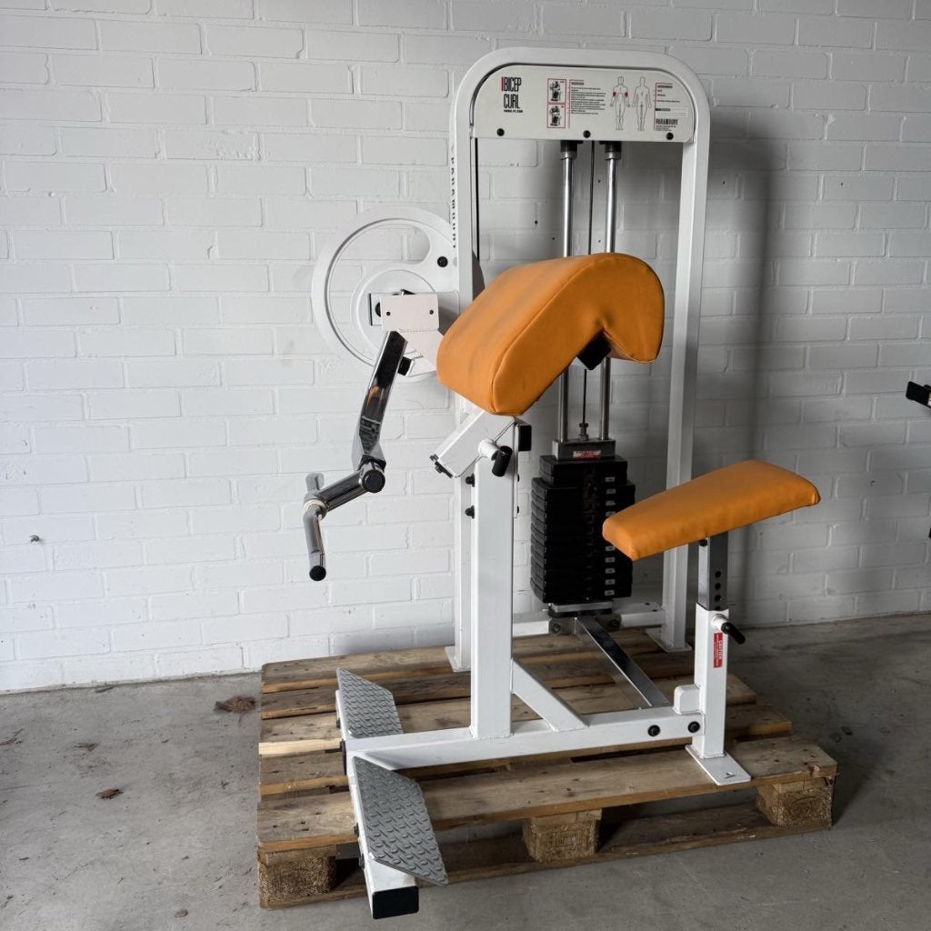 Paramount bicep curl/ bizeps/ bizep / preacher, Gebruikt, -, -, Overige typen