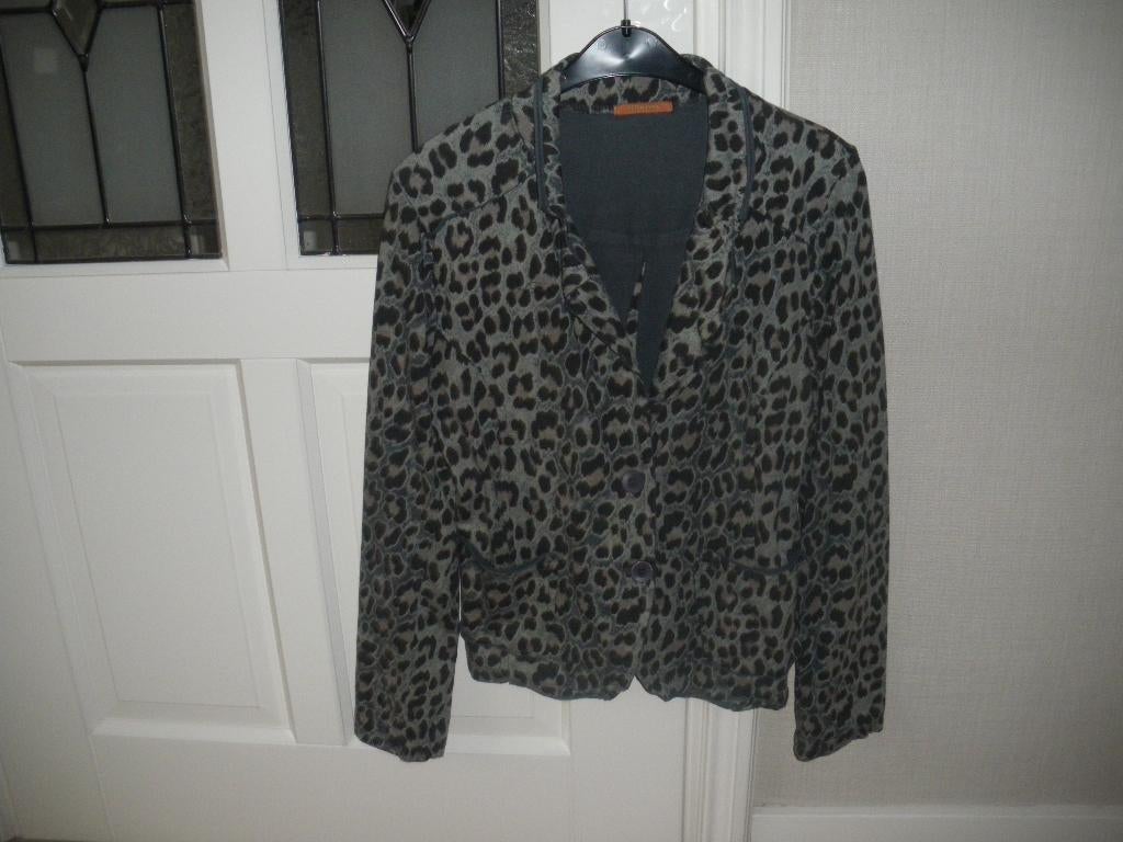 zgan heel leuk jasje/vest mooie print merk g ricceri mt 40, Ophalen of Verzenden, Zo goed als nieuw, Maat 38/40 (M)
