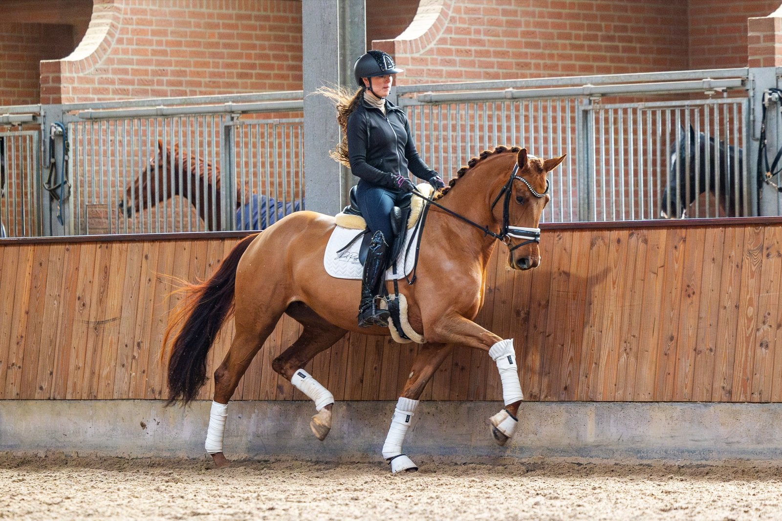 5 jarige merrie Bordeaux x Estoril, Dieren en Toebehoren, Paarden, Merrie, Met stamboom, Dressuurpaard, Zadelmak