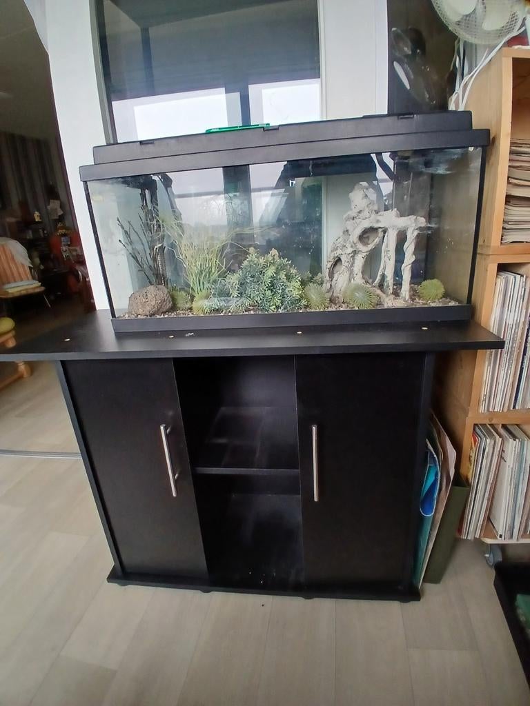 Aquarium(ophalen in Goes), Dieren en Toebehoren, Ophalen, Gebruikt, Leeg aquarium