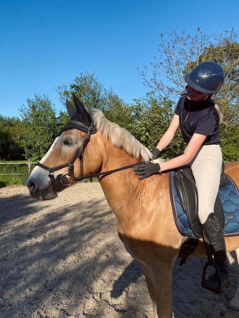Bijrijdpaard/pony gezocht, ervaren ruiter aangeboden, Dieren en Toebehoren