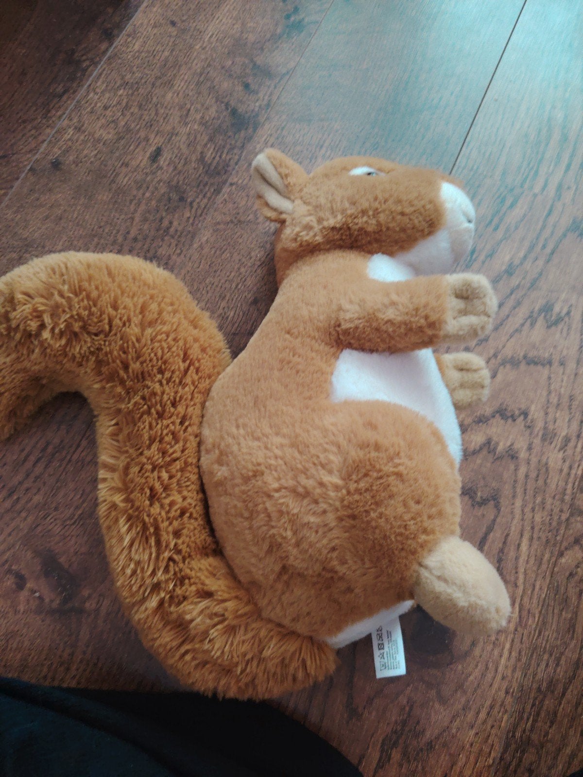 Schattige pluche eekhoorn knuffel, Overige merken, Overige karakters, Overige typen, Ophalen of Verzenden