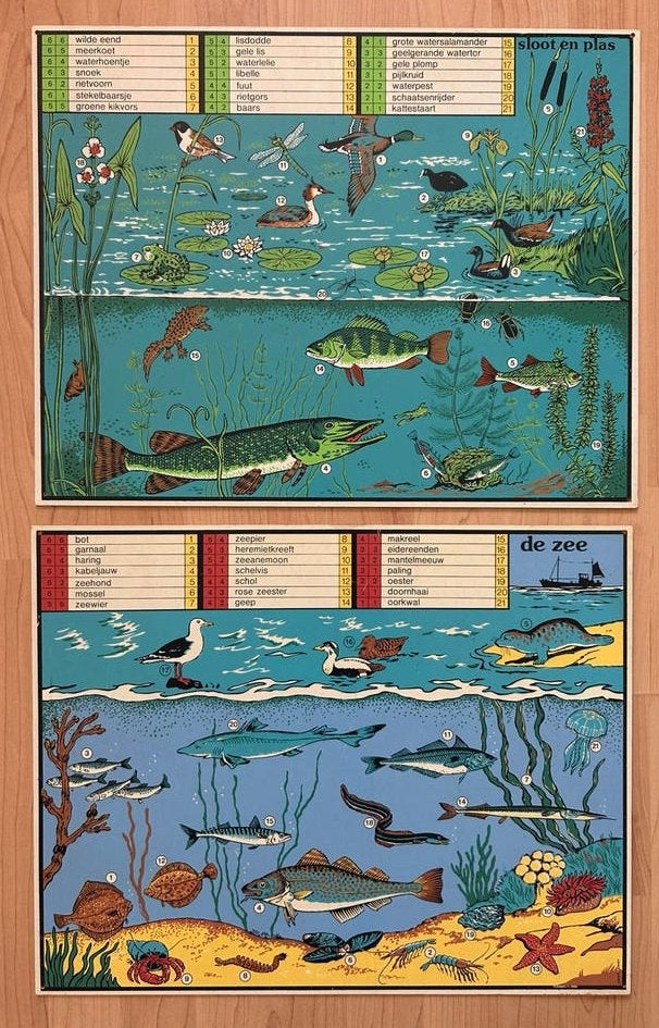 Zeldzame schoolplaten ‘70 Jaap Kramer De Zee & Sloot en Plas, Ophalen of Verzenden, Natuur en Biologie