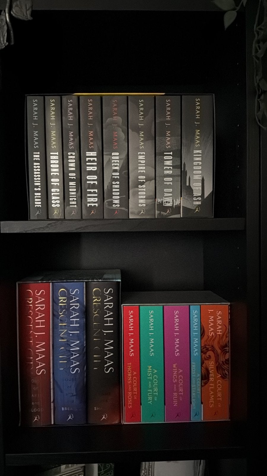 Sarah J. Maas Collectie: Throne of Glass, ACOTAR & Crescent, Boeken, Ophalen, Zo goed als nieuw